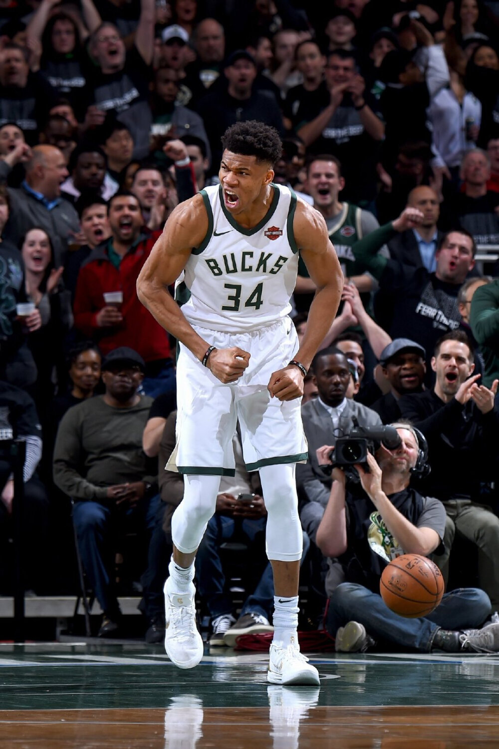 本赛季阿根廷球员欧冠参与进球榜：阿尔瓦雷斯6粒居首（阿尔瓦雷斯6球领跑本赛季阿根廷球员欧冠参与进球榜）